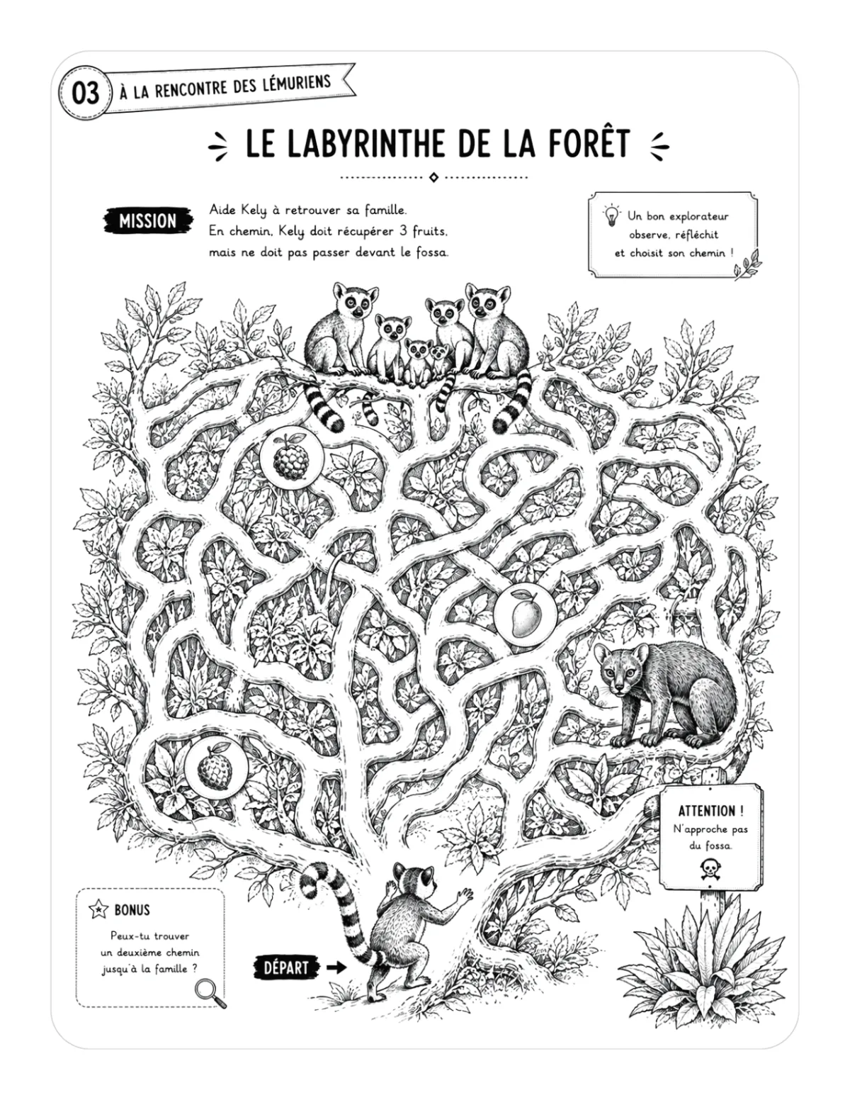 Labyrinthe de la forêt avec une famille de lémuriens et un fossa
