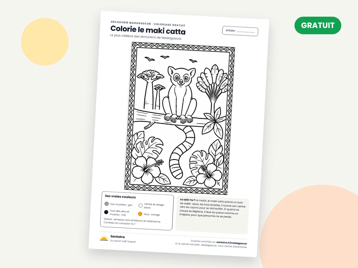 Coloriage d'un maki catta assis sur une branche, avec sa queue à anneaux, des baobabs, un ravinala et des fleurs d'hibiscus, dans un cadre à motifs géométriques.